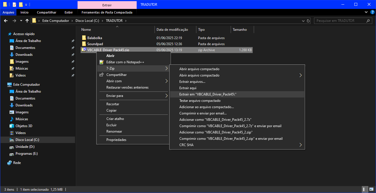 Download do Arquivo ZIP do VAC